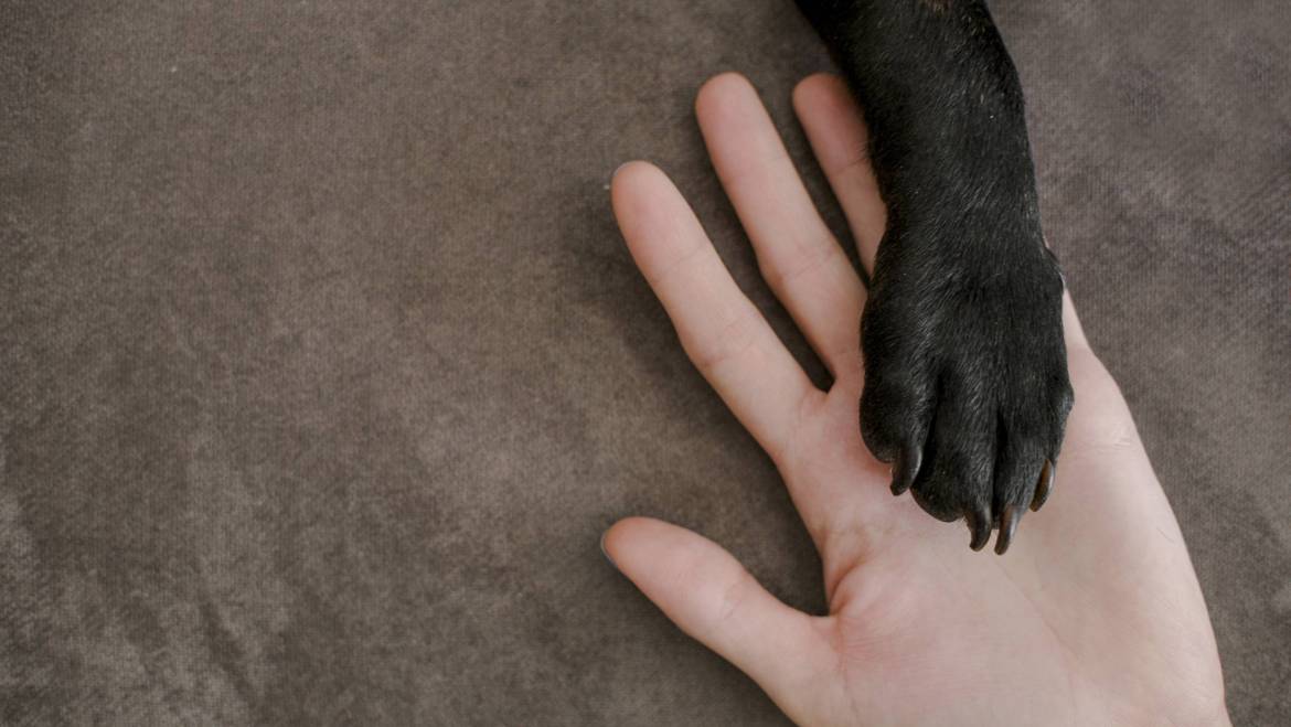 Servicios oncológicos