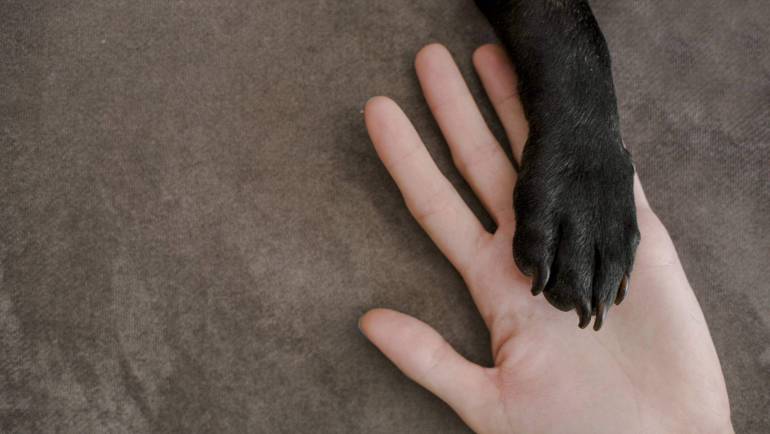 Servicios oncológicos