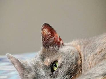 Tratamientos para pacientes oncológicos en Costa Rica