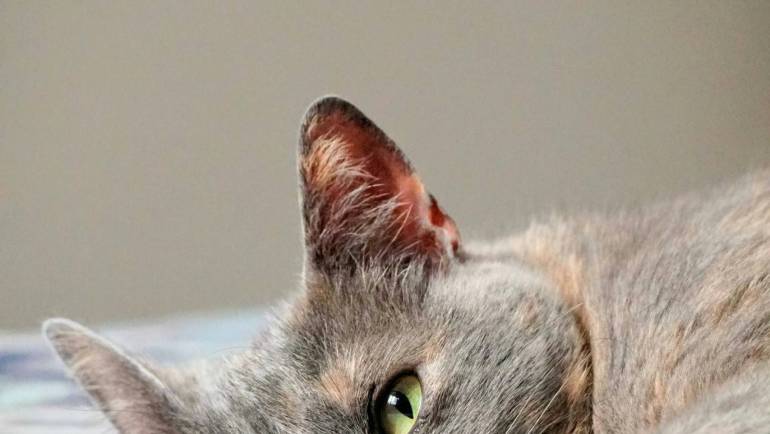 Tratamientos para pacientes oncológicos en Costa Rica