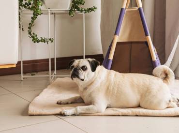 Importancia del diagnóstico temprano